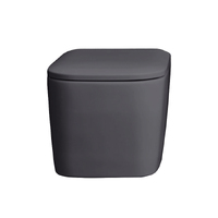 Унітаз підвісний Nic Design Semplice 55х37 см безободковий, з кришкою, Basalto (003699049_005706049)