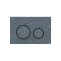 Кнопка змиву Geberit Sigma21, сланець Mustang/чорний хром (115.651.JM.1)