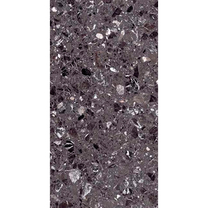 купить Керамограніт крупноформатний Casalgrande Padana Macro Carnico 118x236 (11900295) недорого