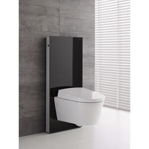 купить Унитаз с Биде  електронный Geberit AquaClean Sela 146.145.11.1 недорого