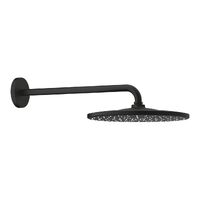 Верхній душ Grohe Rainshower Mono 310 з кронштейном, чорний матовий (22121KF0)