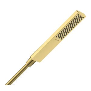 купить Ручний душ Hansgrohe Pulsify E 100 1jet EcoSmart, Polished Gold Optic (24320990) недорого