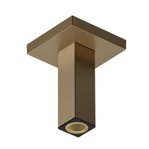 купить Тримач верхнього душу Hansgrohe E 100 мм, стельовий Brushed Bronze (24338140) недорого
