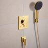 Ручний душ Hansgrohe Raindance Alive Select S 3jet EcoSmart, Polished Gold Optic (24511990)