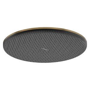купить Верхній душ Hansgrohe Raindance Alive S 300 1jet EcoSmart, Brushed Bronze (24521140) недорого