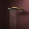 Верхній душ Hansgrohe Raindance Alive S 300 1jet EcoSmart, Brushed Bronze (24521140)