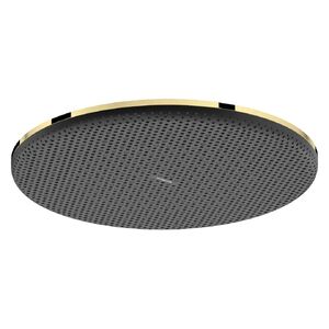 купить Верхній душ Hansgrohe Raindance Alive S 300 1jet EcoSmart, Polished Gold Optic (24521990) недорого