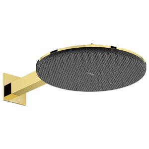 купить Верхній душ Hansgrohe Raindance Alive S 300 2jet із тримачем, Polished Gold Optic (24540990) недорого