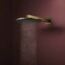Верхній душ Hansgrohe Raindance Alive S 300 2jet із тримачем, Polished Gold Optic (24540990)