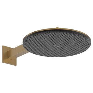 купить Верхній душ Hansgrohe Raindance Alive S 300 2jet EcoSmart із тримачем, Brushed Bronze (24541140) недорого