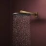 Верхній душ Hansgrohe Raindance Alive S 300 2jet EcoSmart із тримачем, Brushed Bronze (24541140)