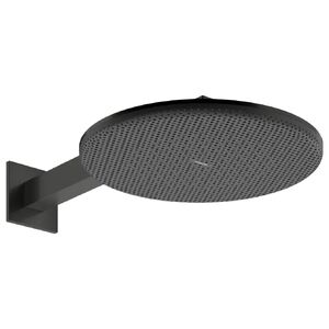 купить Верхній душ Hansgrohe Raindance Alive S 300 2jet EcoSmart із тримачем, Brushed Black Chrome (24541340) недорого