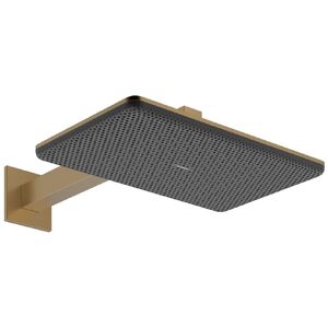 купить Верхній душ Hansgrohe Raindance Alive Q 340/210 2jet із тримачем, Brushed Bronze (24550140) недорого