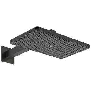 купить Верхній душ Hansgrohe Raindance Alive Q 340/210 2jet із тримачем, Brushed Black Chrome (24550340) недорого