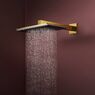 Верхній душ Hansgrohe Raindance Alive Q 340/210 2jet з утримувачем, Polished Gold Optic (24550990)