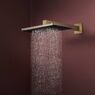 Верхній душ Hansgrohe Raindance Alive Q 340/210 2jet EcoSmart із тримачем, Brushed Bronze (24551140)
