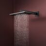 Верхній душ Hansgrohe Raindance Alive Q 340/210 2jet EcoSmart із тримачем, Brushed Black Chrome (24551340)