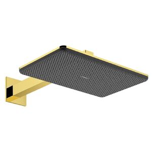 купить Верхній душ Hansgrohe Raindance Alive Q 340/210 2jet EcoSmart з утримувачем, Polished Gold Optic (24551990) недорого