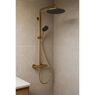 Душова система Hansgrohe Raindance Alive S Puro 300 1jet з Ecostat Element, Brushed Bronze (24592140)