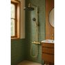 Душова система Hansgrohe Raindance Alive S Puro 300 1jet EcoSmart з Ecostat Element, Polished Gold Optic (24593990)
