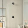 Верхній душ Grohe Tempesta 250, 380 мм, 1 режим струменя, з тримачем, чорний матовий (266682430)