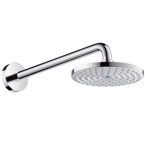 купить Hansgrohe 27468000 Верхний душ Raindance Air  недорого