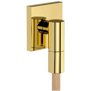 купить Шлангове підключення Hansgrohe FixFit Fine E, Polished Gold Optic (28883990) недорого