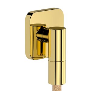 купить Шлангове підключення Hansgrohe FixFit Fine Q, Polished Gold Optic (28884990) недорого