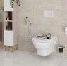 Гігієнічний душ-комплект Hansgrohe S EcoSmart+ на холодну воду, чорний матовий хром (29230340)