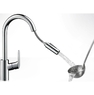 Hansgrohe 31815000 Focus Смеситель для кухни однорычажный с накидной гайкой хром