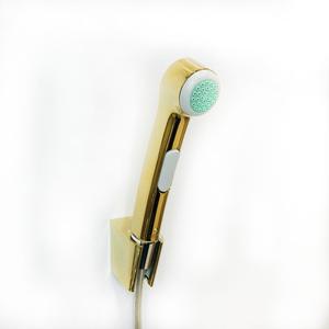 купить Гігієнічний душ Hansgrohe 1jet, Polished Gold Optic (32129990) недорого
