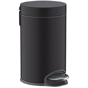 купить Відро для сміття Hansgrohe AddStoris 3L, Matt Black (41775670) недорого
