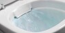 Villeroy&Boch 5684HR01 Omnia Architectura WWC Directflush унитаз подвесной с крышкой Soft Clouse