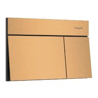 Клавіша змиву Hansgrohe iFrame Element E, Brushed Bronze (66003140)