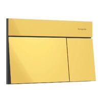 Клавіша змиву Hansgrohe iFrame Element E, Polished Gold Optic (66003990)