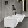 Кнопка змиву Villeroy & Boch ViConnect E300 (922169AN)