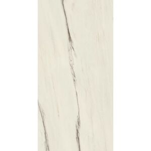 купить Керамограніт Atlas Concorde Marvel Bianco Fantastico 60x120 Matt 9мм (A21B) недорого