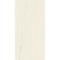Керамограніт Atlas Concorde Marvel Bianco Dolomite 60 x 120 Matt (A21C)