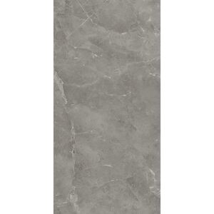 купить Керамограніт Atlas Concorde Marvel Grey Fleury 60x120 Matt 9мм (A21F) недорого