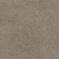 Керамограніт Atlas Concorde Boost Stone Taupe 120x120 Matt 9mm (A6QW)