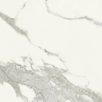 Керамограніт Fiandre Marble Lab Calacatta bellissimo, 60x60, lucidato, 8мм (AL199X860)