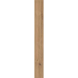 купить Керамограніт Atlas Concorde Log Icon Oak 20x180 Matt 9,5mm (AX5T) недорого