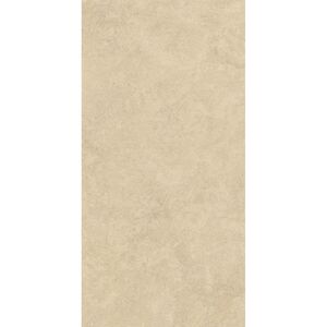 купить Керамограніт Atlas Concord Boost Icor, Dune 60x120 Matte Sensitech 9mm Stone effect (AX6A) недорого