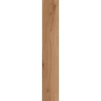 Керамограніт Atlas Concorde Log Cansei, Fenice 20x120 Matte Sensitech 9mm Wood effect (AX7A)
