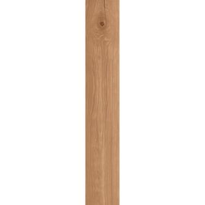 купить Керамограніт Atlas Concord Log Cansei, Darsena 20x120 Matte Sensitech 9mm Wood effect (AX7C) недорого