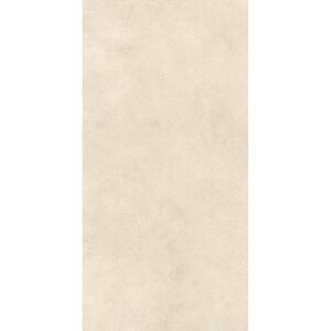 купить Керамограніт Atlas Concord Boost Expression, Shell 60x120 Matte Sensitech 9mm Concrete effect (AYUX) недорого