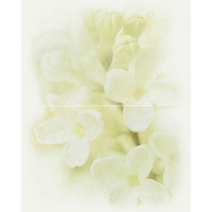 купить Плитка Cersanit Andrea DEC ANDREA FLOWER недорого