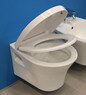 DEVIT 3020129 Gredos Унитаз подвесной + крышка soft-close