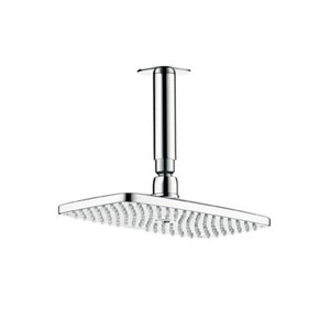 купить Hansgrohe 27380000 Верхний душ 100 мм Raindance недорого