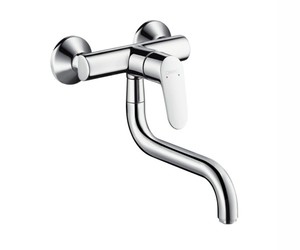 купить Hansgrohe Focus 31825000 смеситель для кухни со стены недорого